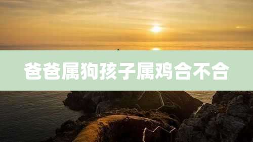 爸爸属狗孩子属鸡合不合