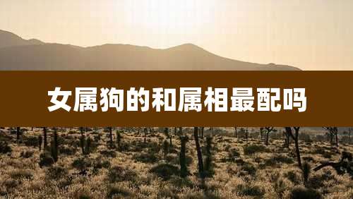 女属狗的和属相最配吗