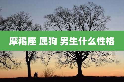 摩羯座 属狗 男生什么性格