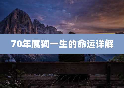 70年属狗一生的命运详解