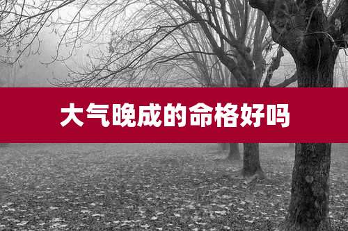 大气晚成的命格好吗