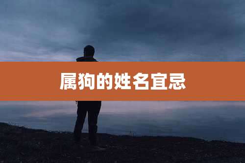 属狗的姓名宜忌