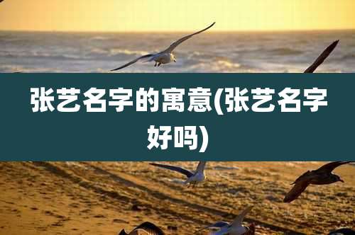 张艺名字的寓意(张艺名字好吗)