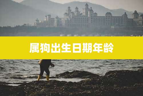 属狗出生日期年龄