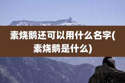 素烧鹅还可以用什么名字(素烧鹅是什么)
