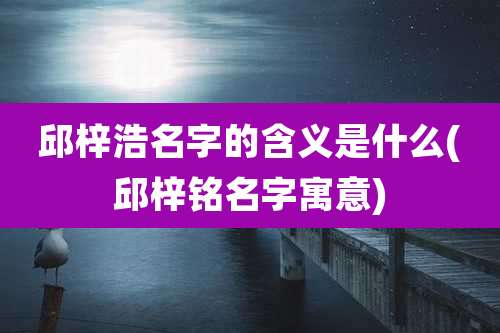 邱梓浩名字的含义是什么(邱梓铭名字寓意)