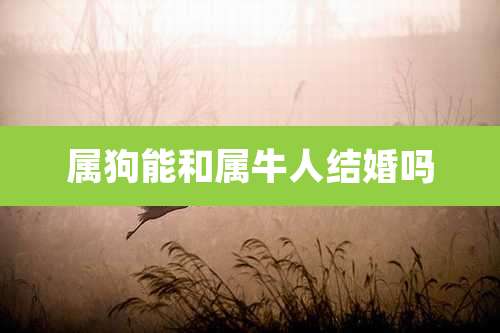 属狗能和属牛人结婚吗