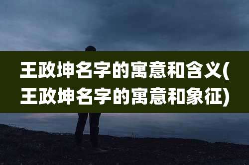 王政坤名字的寓意和含义(王政坤名字的寓意和象征)