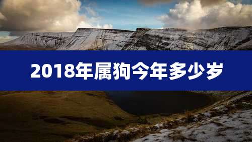 2018年属狗今年多少岁
