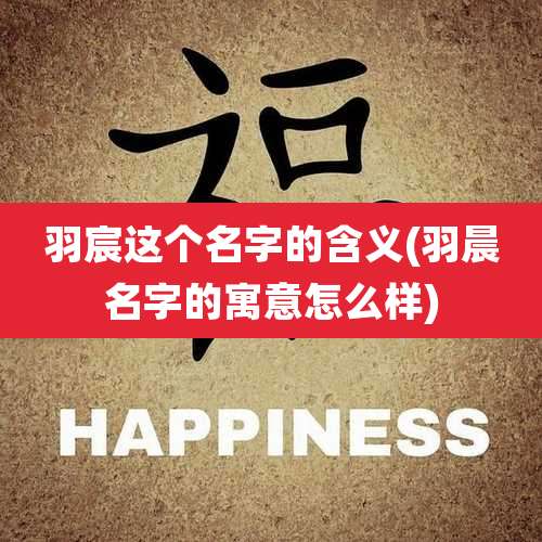 羽宸这个名字的含义(羽晨名字的寓意怎么样)