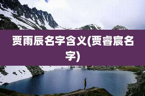 贾雨辰名字含义(贾睿宸名字)