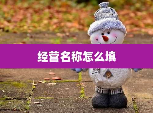 经营名称怎么填
