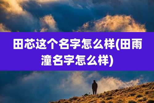 田芯这个名字怎么样(田雨潼名字怎么样)