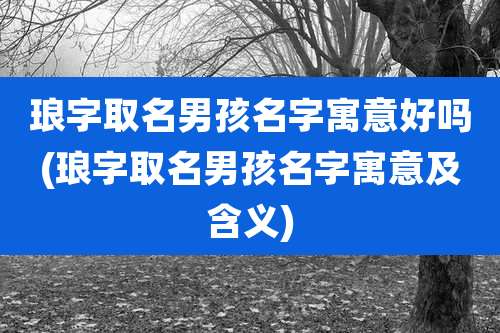 琅字取名男孩名字寓意好吗(琅字取名男孩名字寓意及含义)