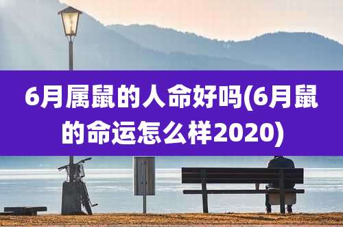 6月属鼠的人命好吗(6月鼠的命运怎么样2020)