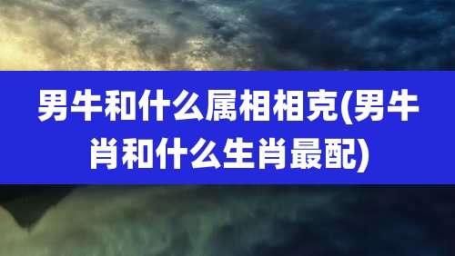 男牛和什么属相相克(男牛肖和什么生肖最配)