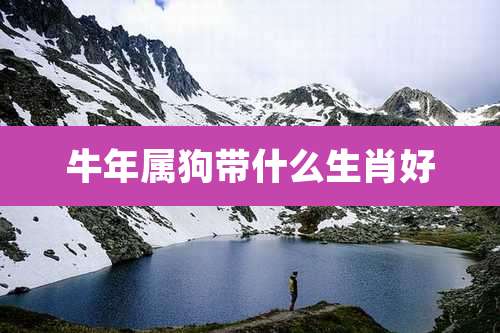 牛年属狗带什么生肖好
