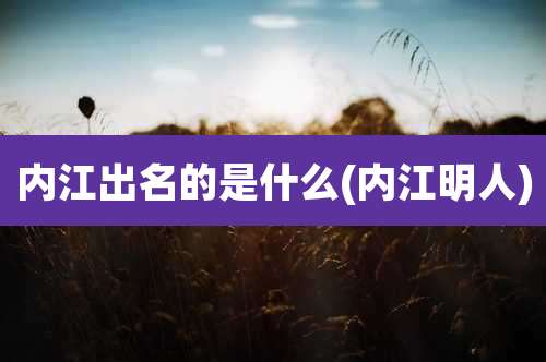 内江出名的是什么(内江明人)