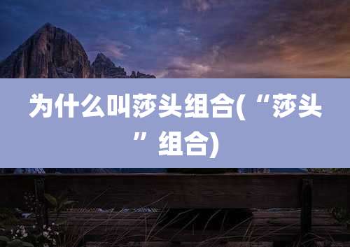 为什么叫莎头组合(“莎头”组合)