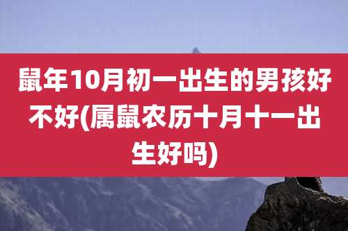 鼠年10月初一出生的男孩好不好(属鼠农历十月十一出生好吗)