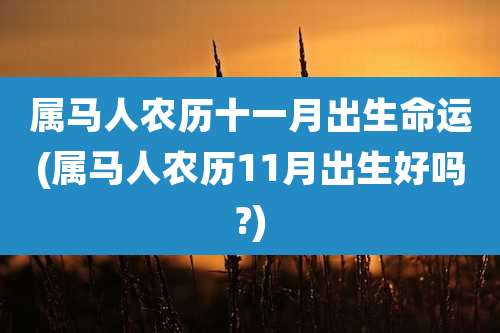 属马人农历十一月出生命运(属马人农历11月出生好吗?)