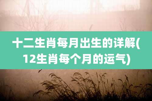 十二生肖每月出生的详解(12生肖每个月的运气)