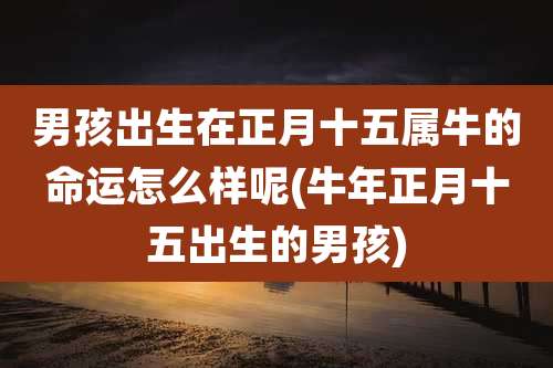 男孩出生在正月十五属牛的命运怎么样呢(牛年正月十五出生的男孩)