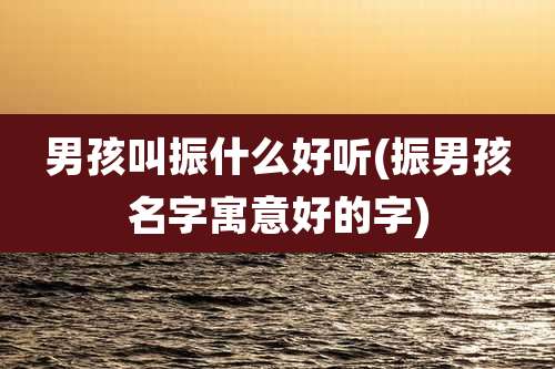 男孩叫振什么好听(振男孩名字寓意好的字)