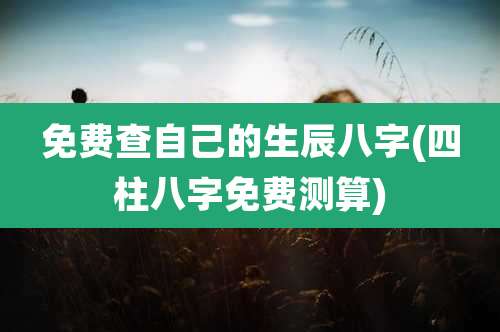 免费查自己的生辰八字(四柱八字免费测算)