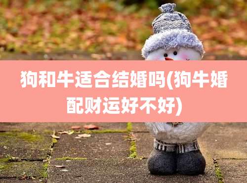 狗和牛适合结婚吗(狗牛婚配财运好不好)