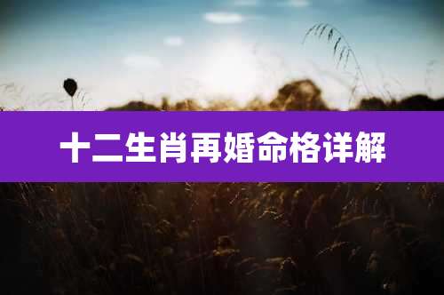 十二生肖再婚命格详解