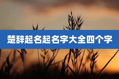 楚辞起名起名字大全四个字