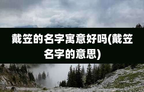 戴笠的名字寓意好吗(戴笠名字的意思)