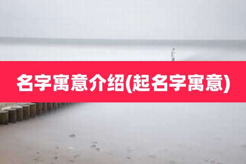 名字寓意介绍(起名字寓意)