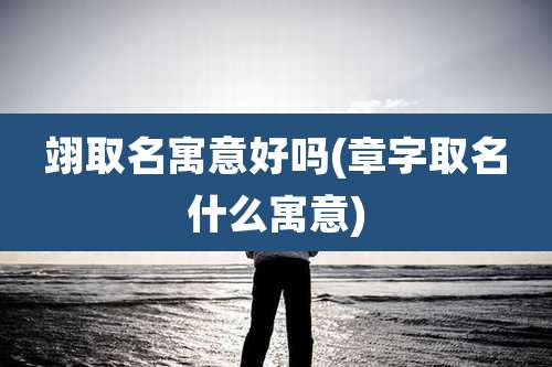 翊取名寓意好吗(章字取名什么寓意)