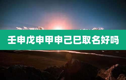 壬申戊申甲申己巳取名好吗