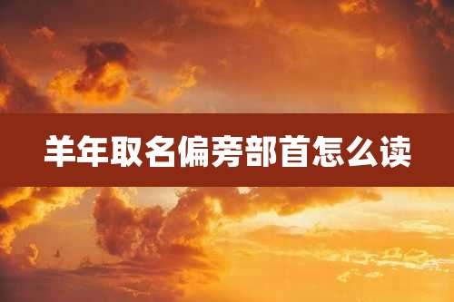 羊年取名偏旁部首怎么读