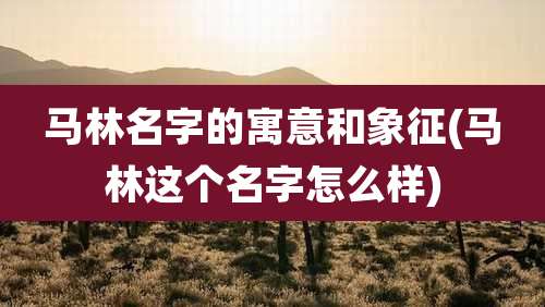马林名字的寓意和象征(马林这个名字怎么样)