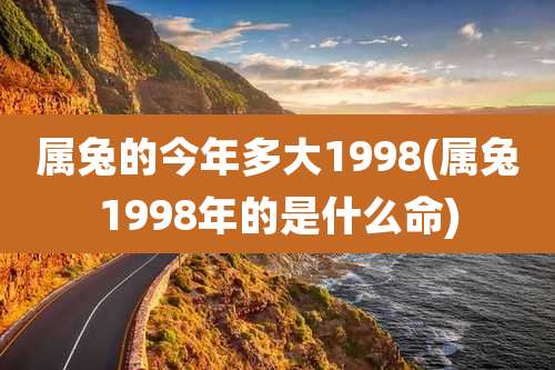 属兔的今年多大1998(属兔1998年的是什么命)