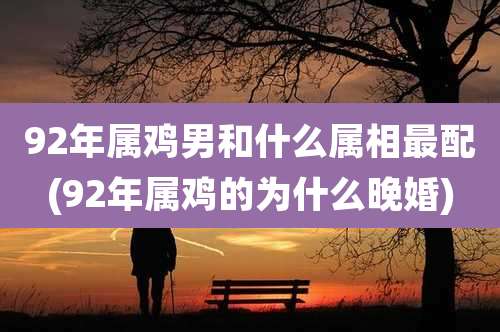 92年属鸡男和什么属相最配(92年属鸡的为什么晚婚)