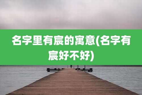 名字里有宸的寓意(名字有宸好不好)