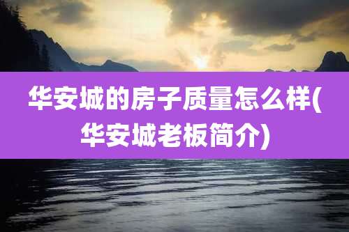 华安城的房子质量怎么样(华安城老板简介)