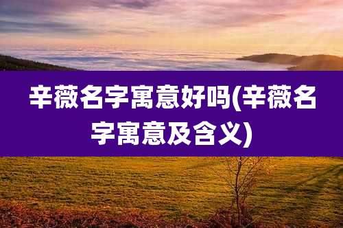 辛薇名字寓意好吗(辛薇名字寓意及含义)