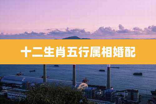 十二生肖五行属相婚配