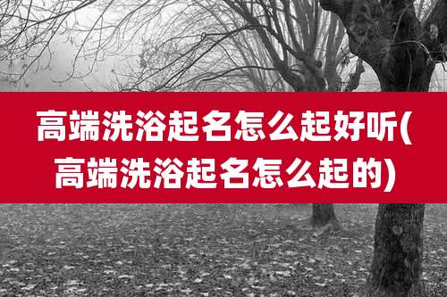 高端洗浴起名怎么起好听(高端洗浴起名怎么起的)