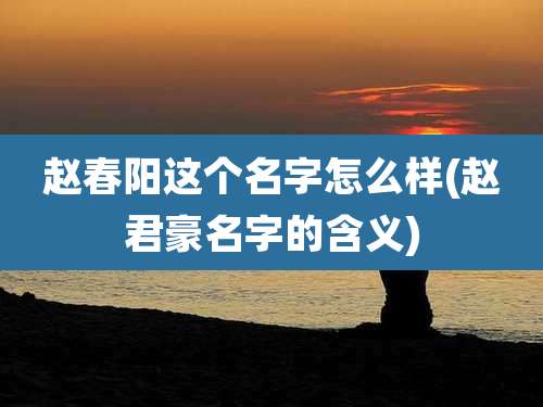 赵春阳这个名字怎么样(赵君豪名字的含义)