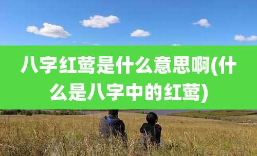 八字红莺是什么意思啊(什么是八字中的红莺)