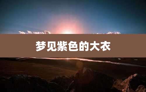 梦见紫色的大衣