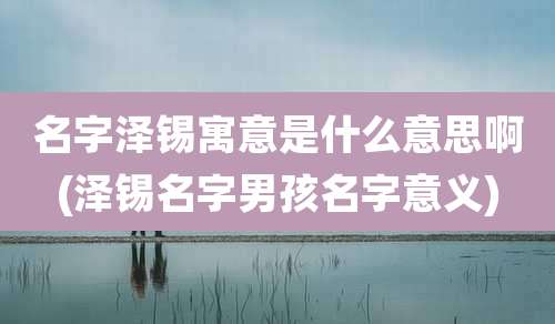 名字泽锡寓意是什么意思啊(泽锡名字男孩名字意义)