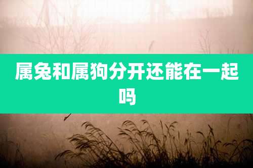 属兔和属狗分开还能在一起吗